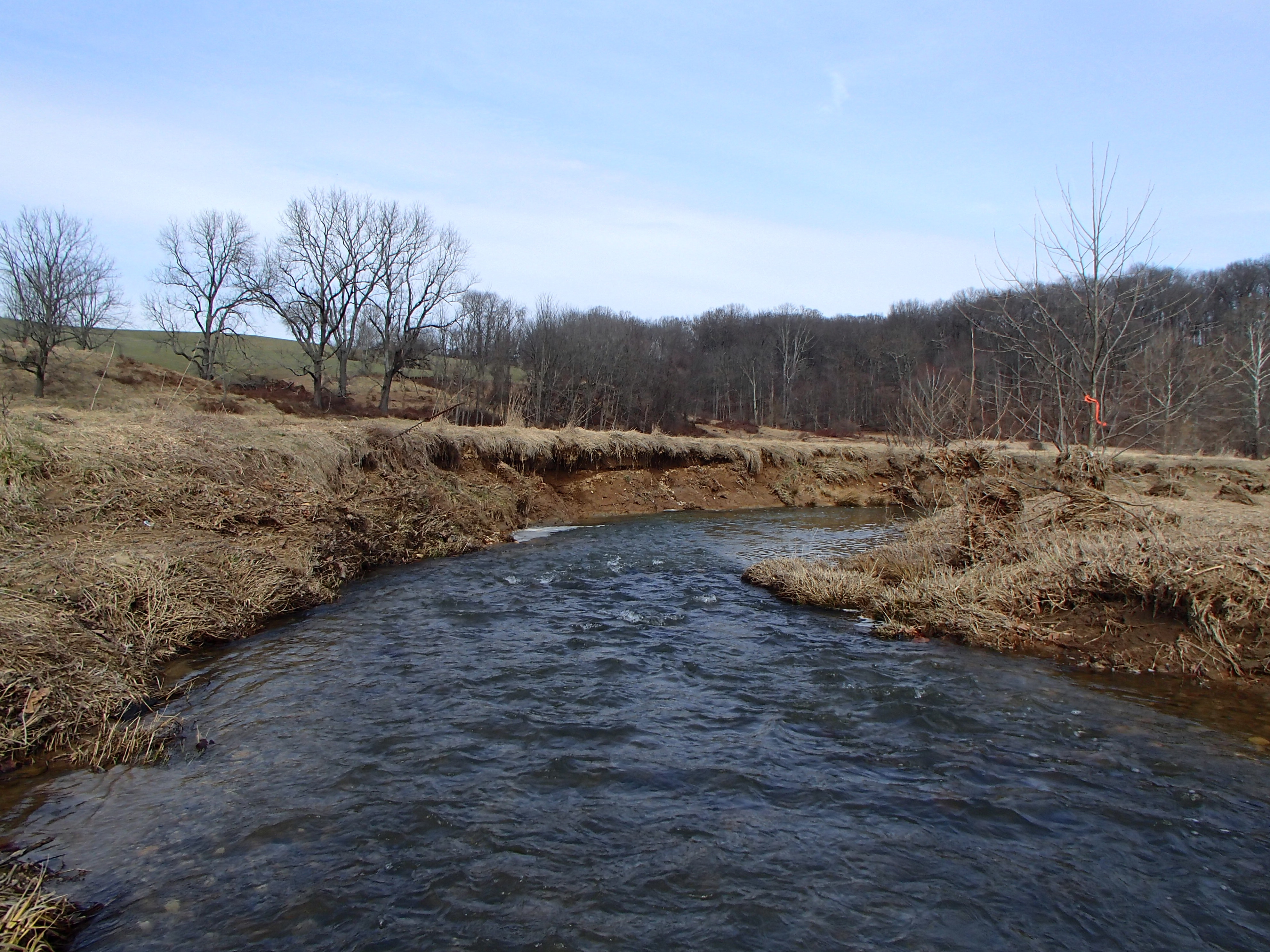 Field photo showing stream conditions at site SBPA-303-X-2016_midpoint looking upstream
